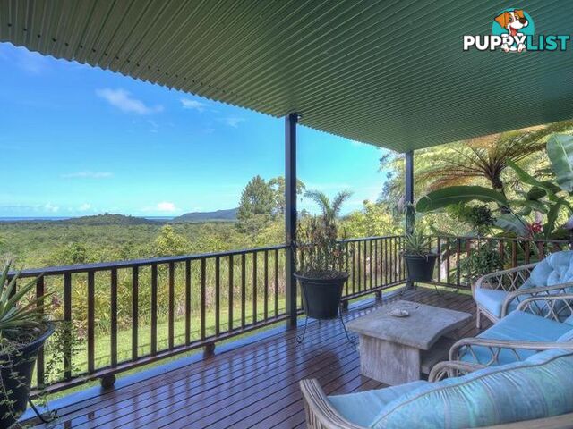 74 Mahogany Road Diwan DAINTREE QLD 4873