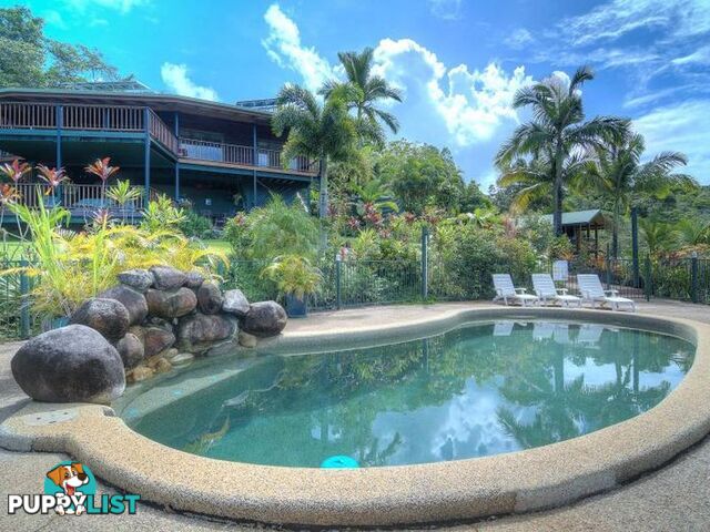 74 Mahogany Road Diwan DAINTREE QLD 4873