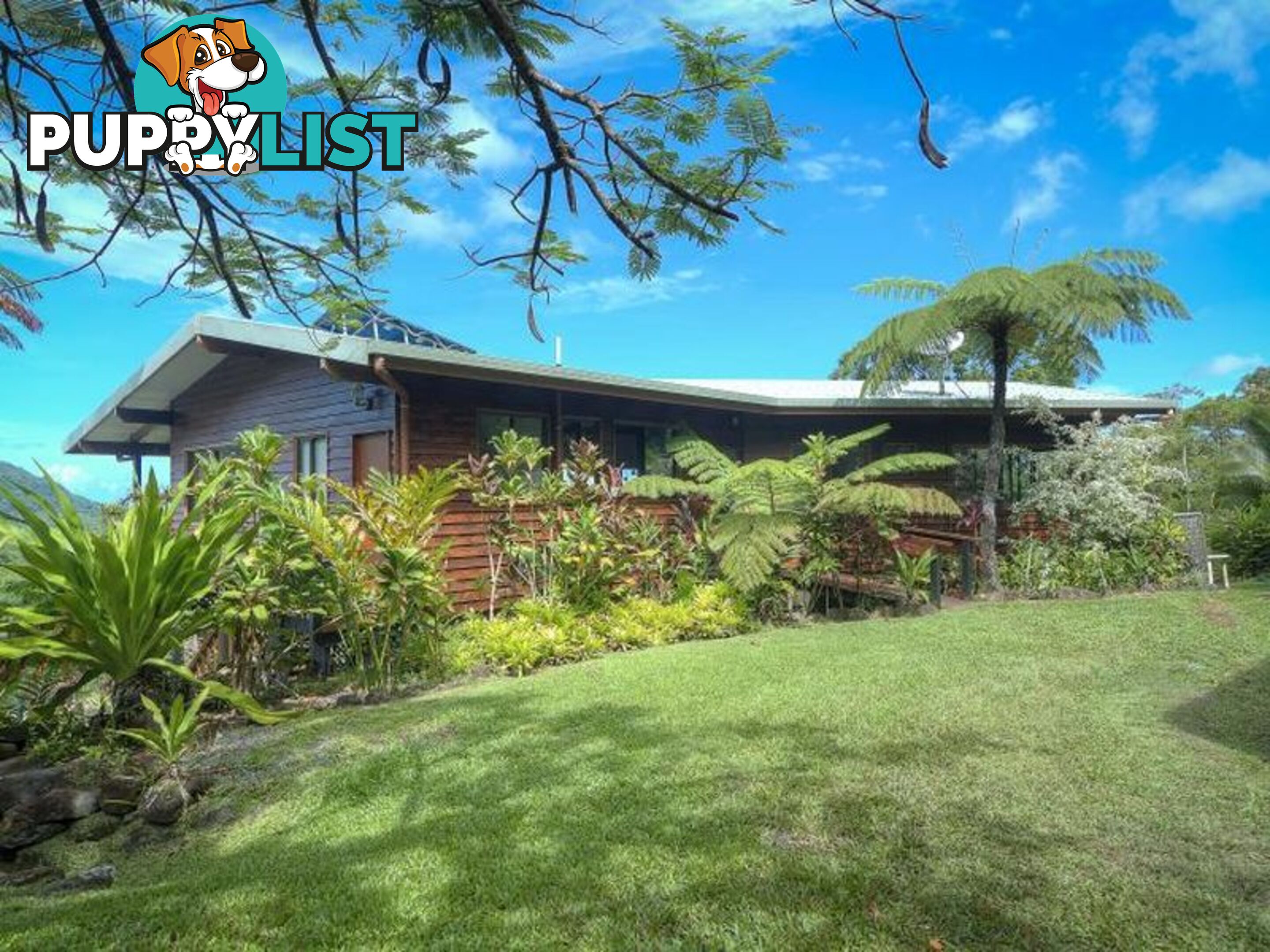 74 Mahogany Road Diwan DAINTREE QLD 4873