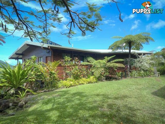 74 Mahogany Road Diwan DAINTREE QLD 4873