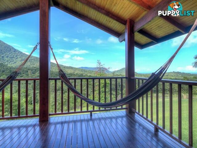 74 Mahogany Road Diwan DAINTREE QLD 4873