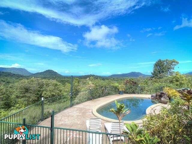 74 Mahogany Road Diwan DAINTREE QLD 4873