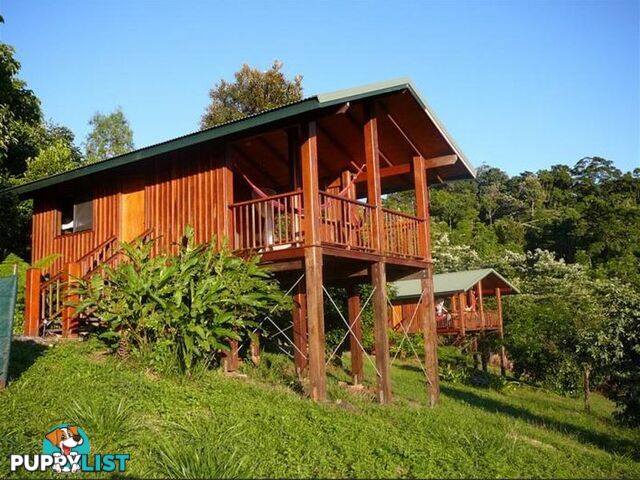 74 Mahogany Road Diwan DAINTREE QLD 4873