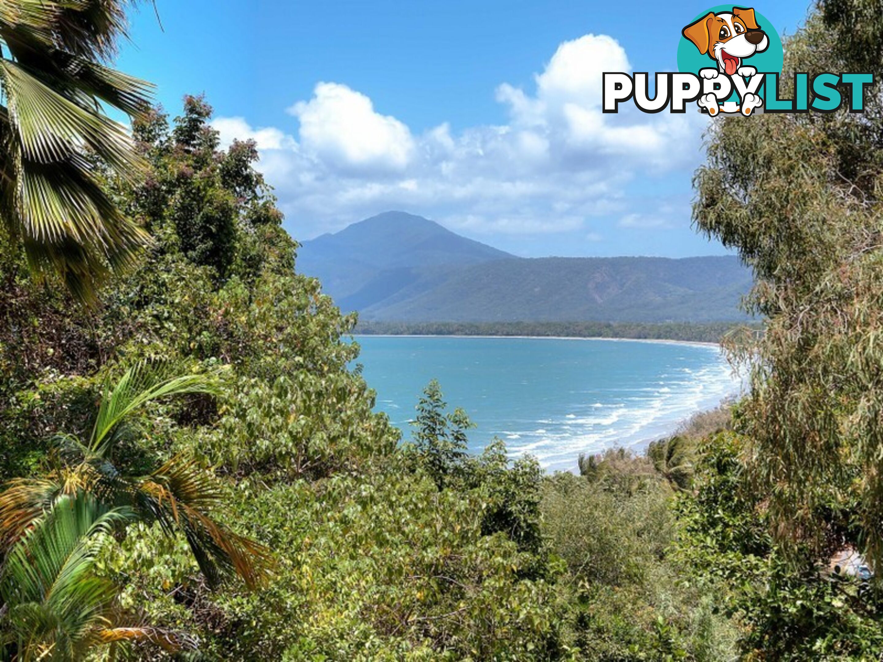 PORT DOUGLAS QLD 4877