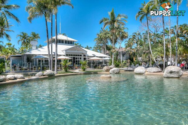 166 Reef Resort/5 Escape Street PORT DOUGLAS QLD 4877