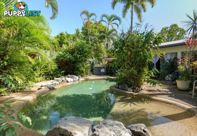 344 Port Douglas Road PORT DOUGLAS QLD 4877
