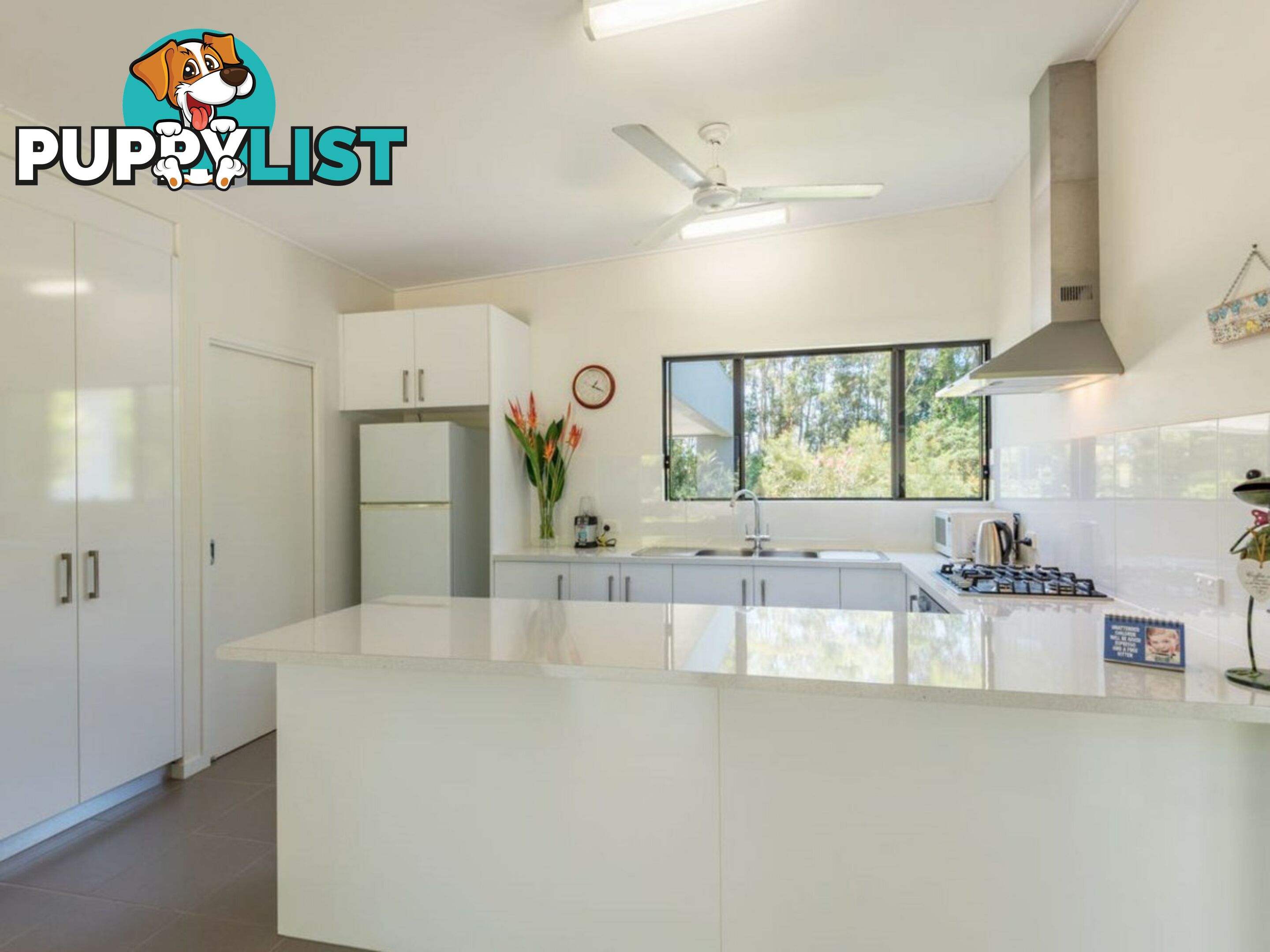 6 Lou Prince Drive BONNIE DOON QLD 4873