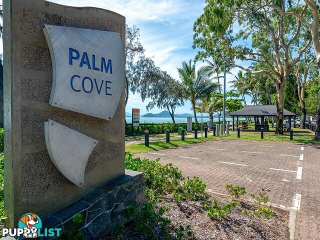 Beach Have Estate PALM COVE QLD 4879