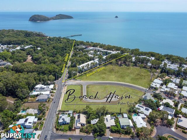 Beach Have Estate PALM COVE QLD 4879