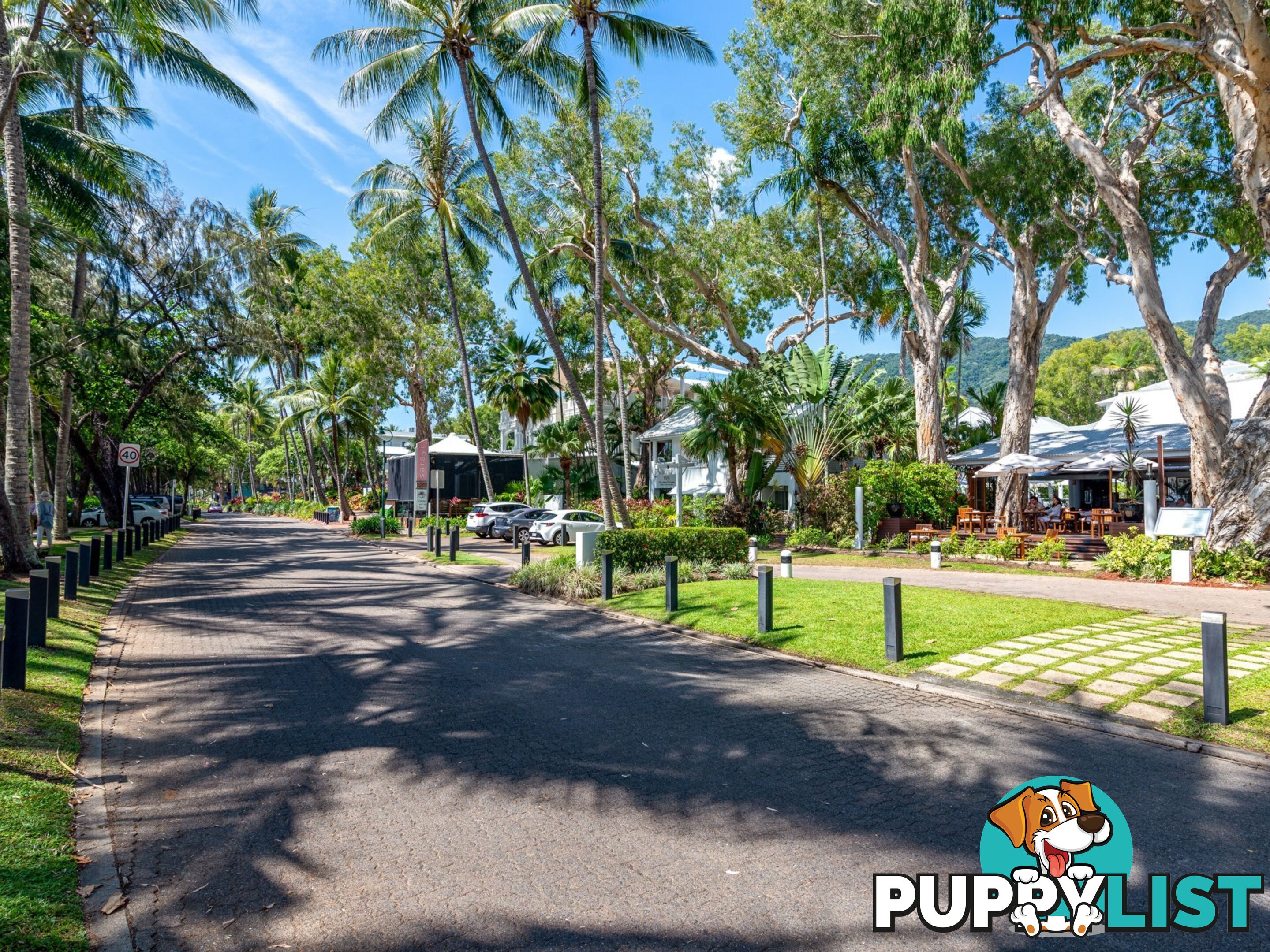 Beach Have Estate PALM COVE QLD 4879