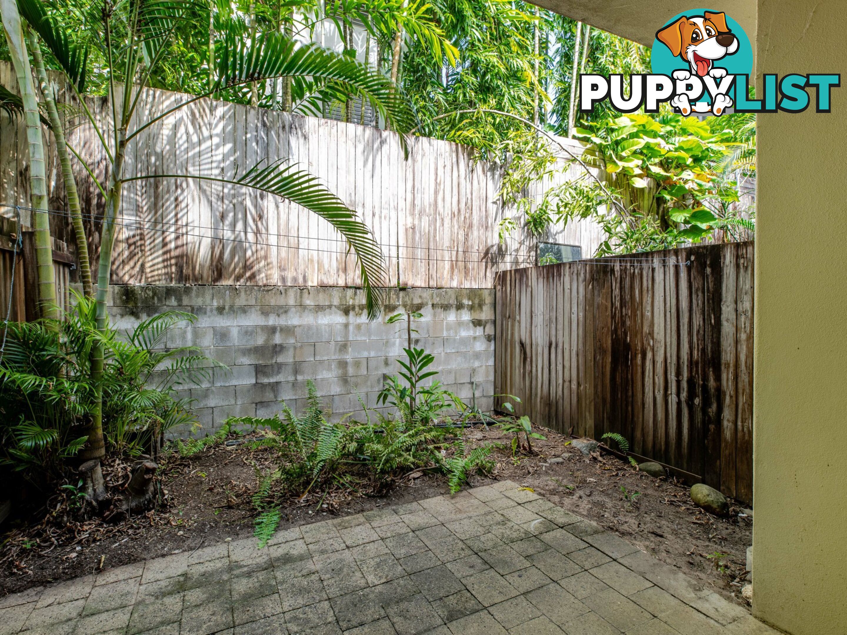 2 Casuarina Court/25 Davidson Street PORT DOUGLAS QLD 4877