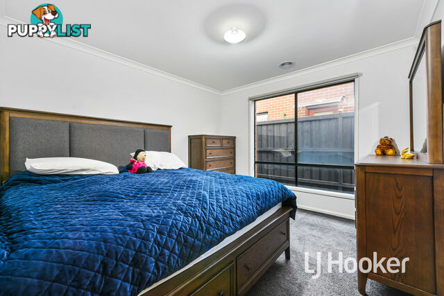 11 Carambola Place BERWICK VIC 3806