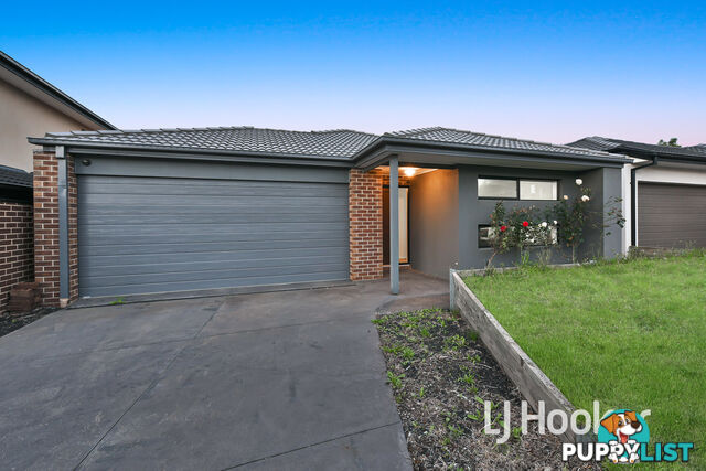 11 Carambola Place BERWICK VIC 3806