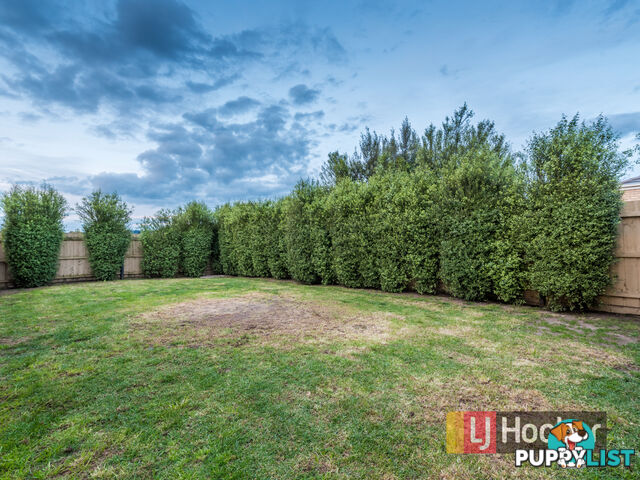 14 Orsino Place BERWICK VIC 3806