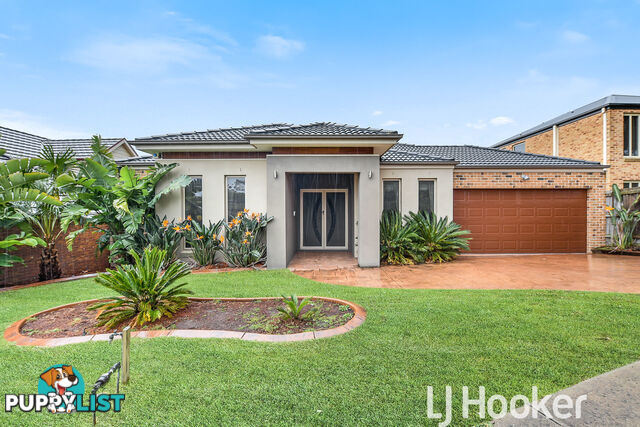 5 Fantail Way BERWICK VIC 3806