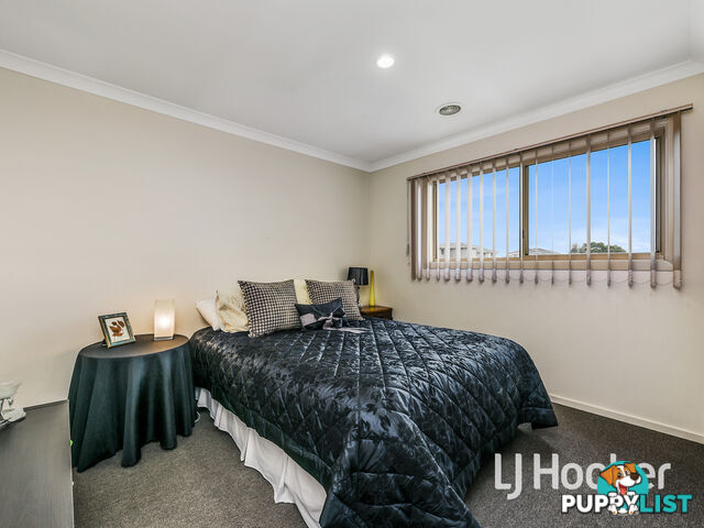 22 Melzak Way BERWICK VIC 3806