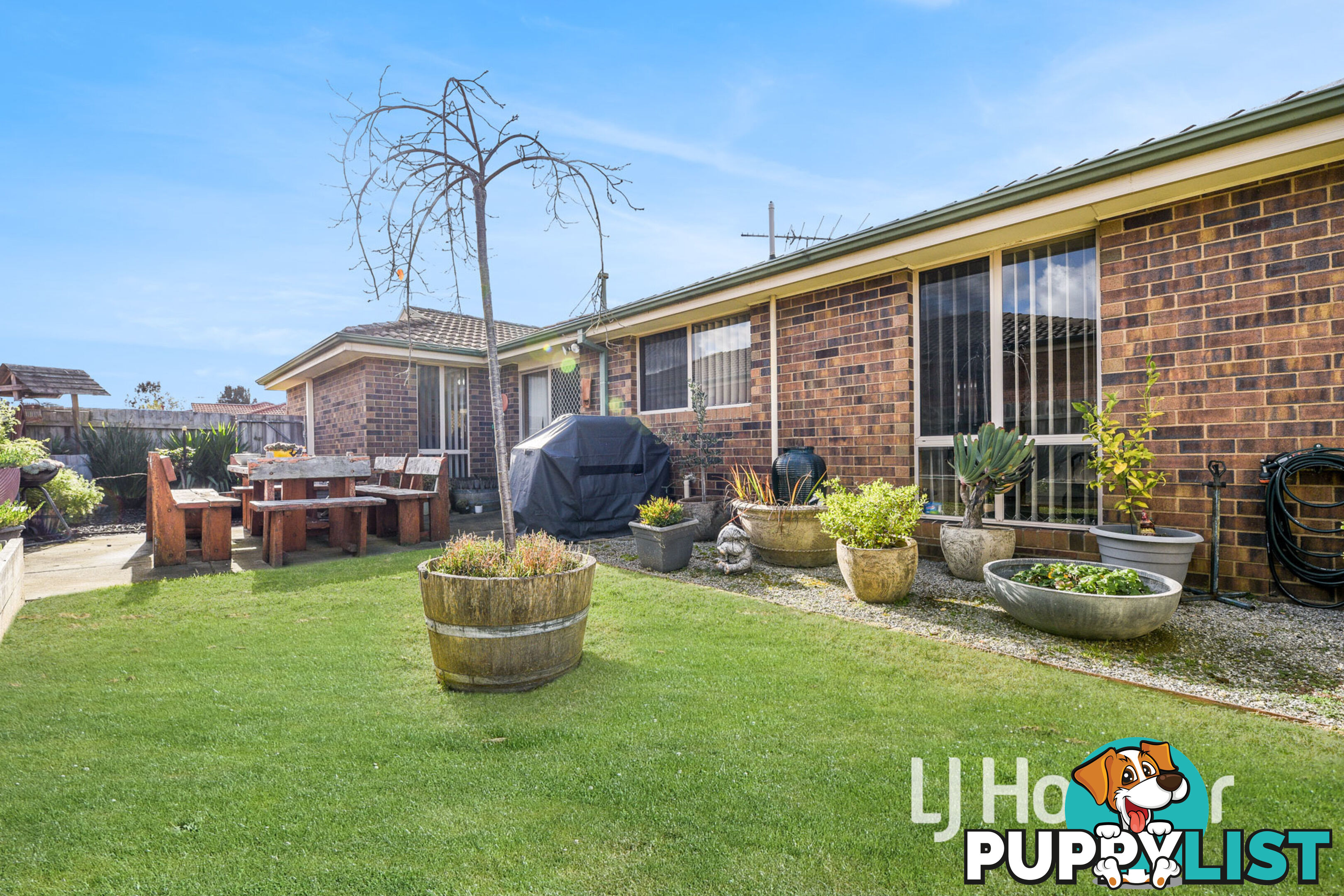 6 Rossi Close PAKENHAM VIC 3810