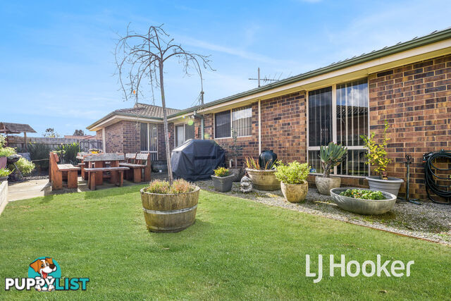 6 Rossi Close PAKENHAM VIC 3810