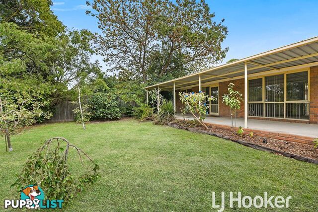 13 Formosa Court NARRE WARREN VIC 3805