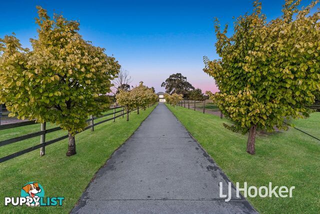 1165 Wellington Road BELGRAVE SOUTH VIC 3160