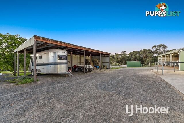 1165 Wellington Road BELGRAVE SOUTH VIC 3160