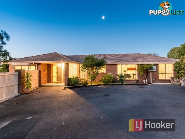 1 Casuarina Court NARRE WARREN VIC 3805