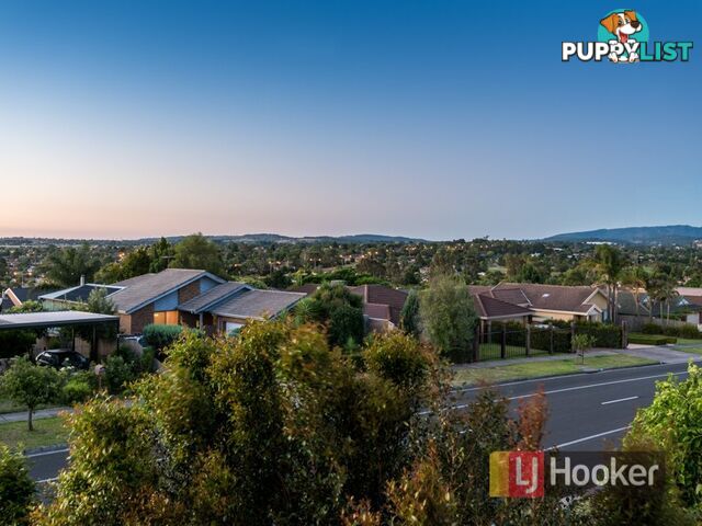 1 Casuarina Court NARRE WARREN VIC 3805