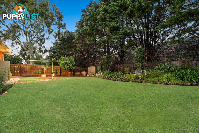 58 Collins Crescent BERWICK VIC 3806