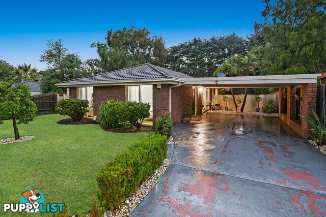 58 Collins Crescent BERWICK VIC 3806