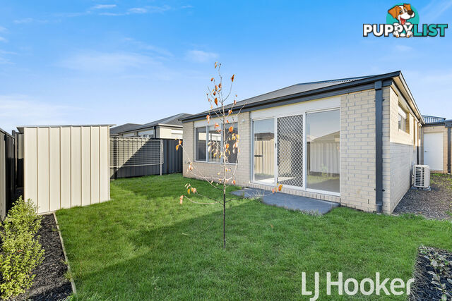 14 Raydale Avenue NARRE WARREN SOUTH VIC 3805