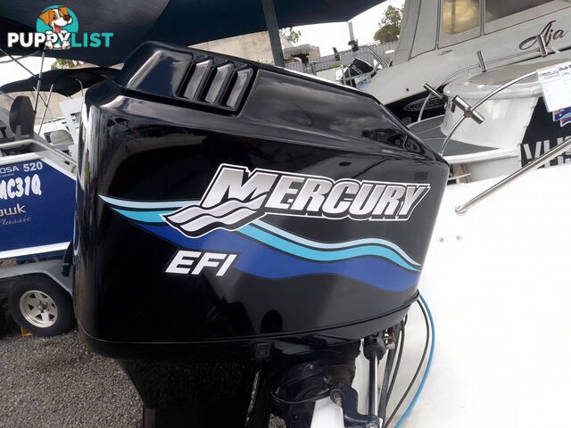 HAINES HUNTER 16FT SKI BOAT-MERCURY 200HP V6 EFI 2 STROKE OUTBOARD AND TRAILER