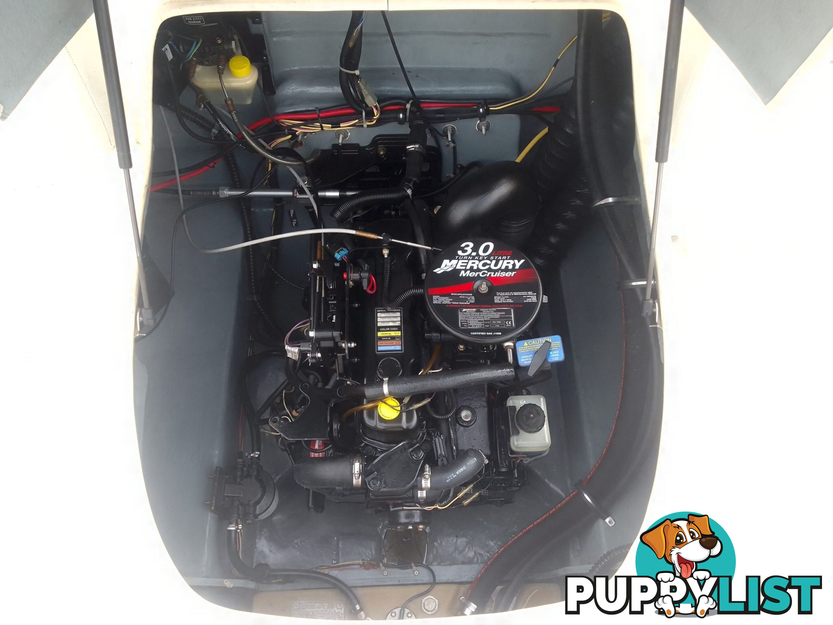 USED 2006 BAYLINER DISCOVERY CUDDY CABIN WITH A FOUR CYLINDER 135HP MERCRUISER ON A KARAVAN SINGLE AXLE TRAILER