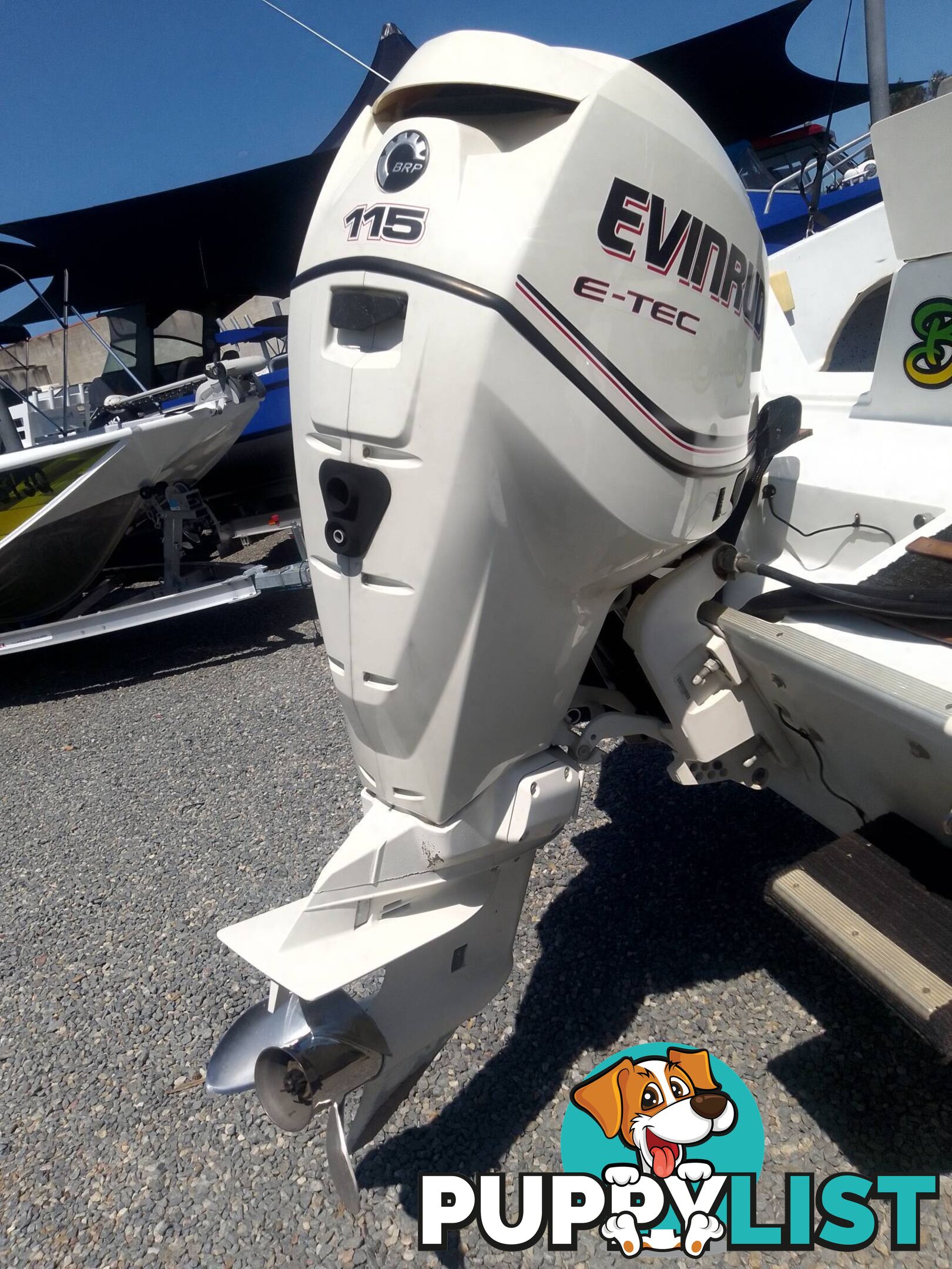 HAINES SIGNATURE 550LE HALF CABIN 115HP EVINRUDE 2 STROKE AND TRAILER