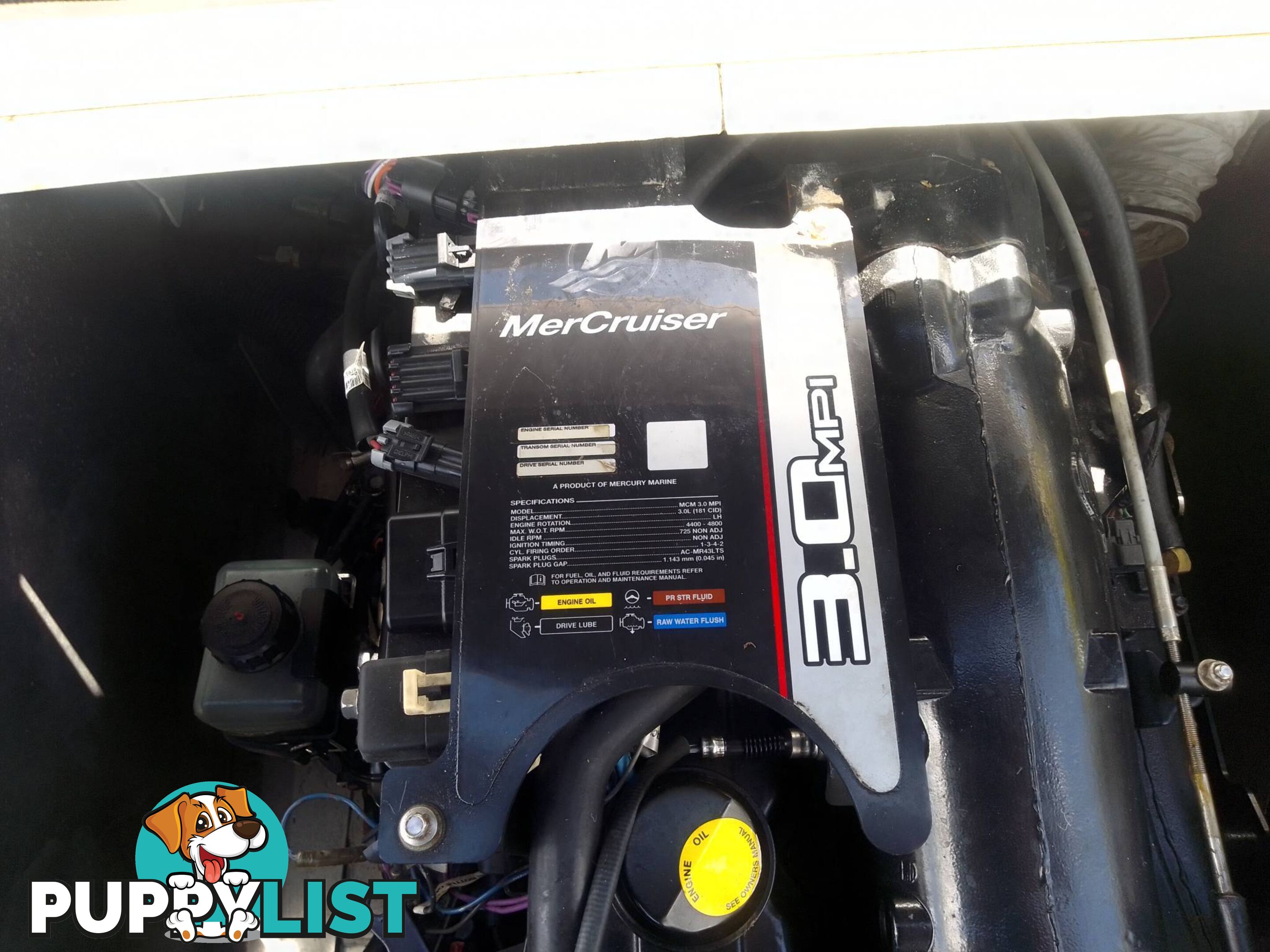 QUINTREX 570 FREEDOM CRUISER BOWRIDER-MERCRUISER 3.0L MPI 135HP STERNDRIVE AND TRAILER