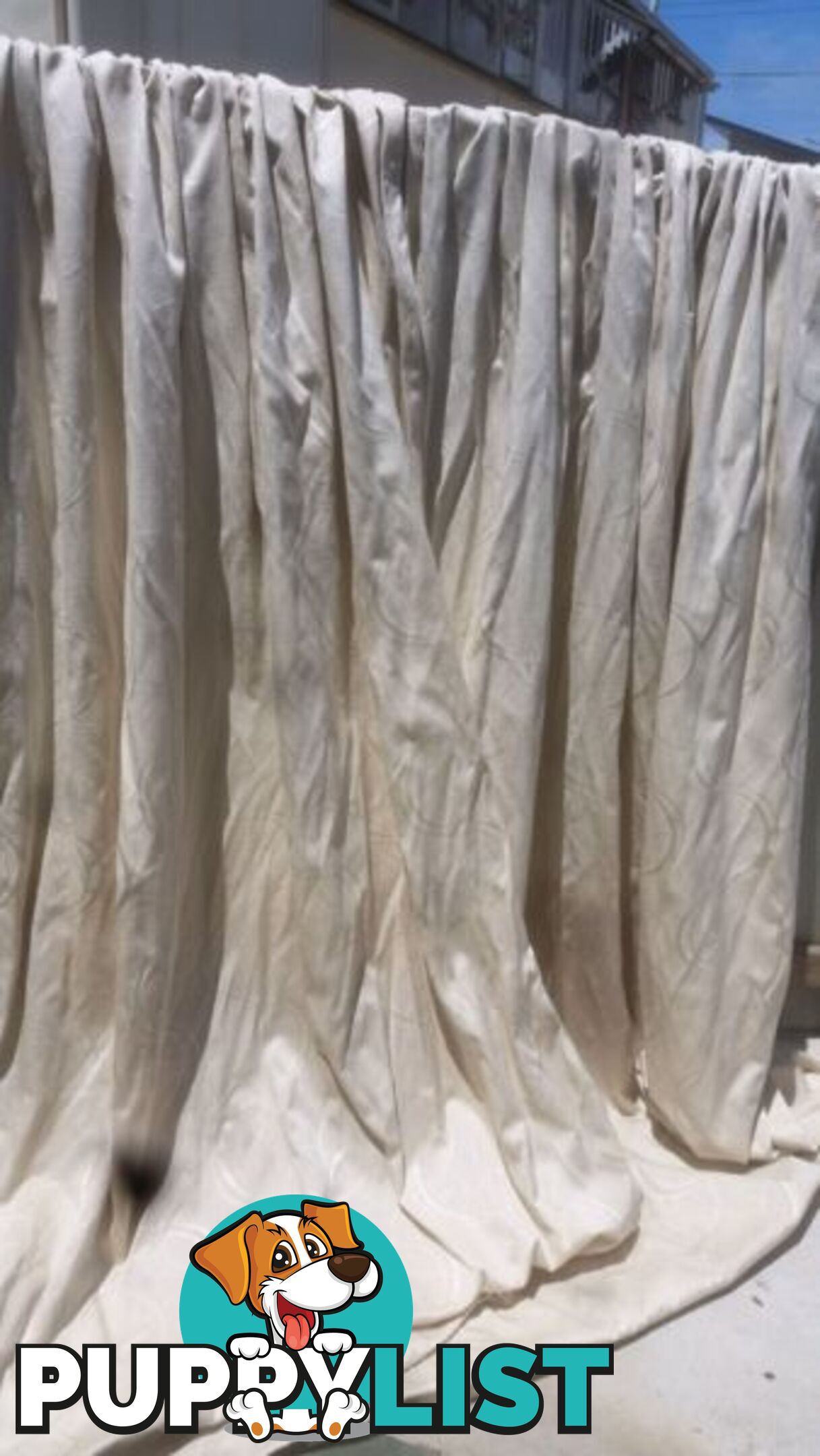 DRAPES CREAM 5 X 2000 EACH X 2250 DROP