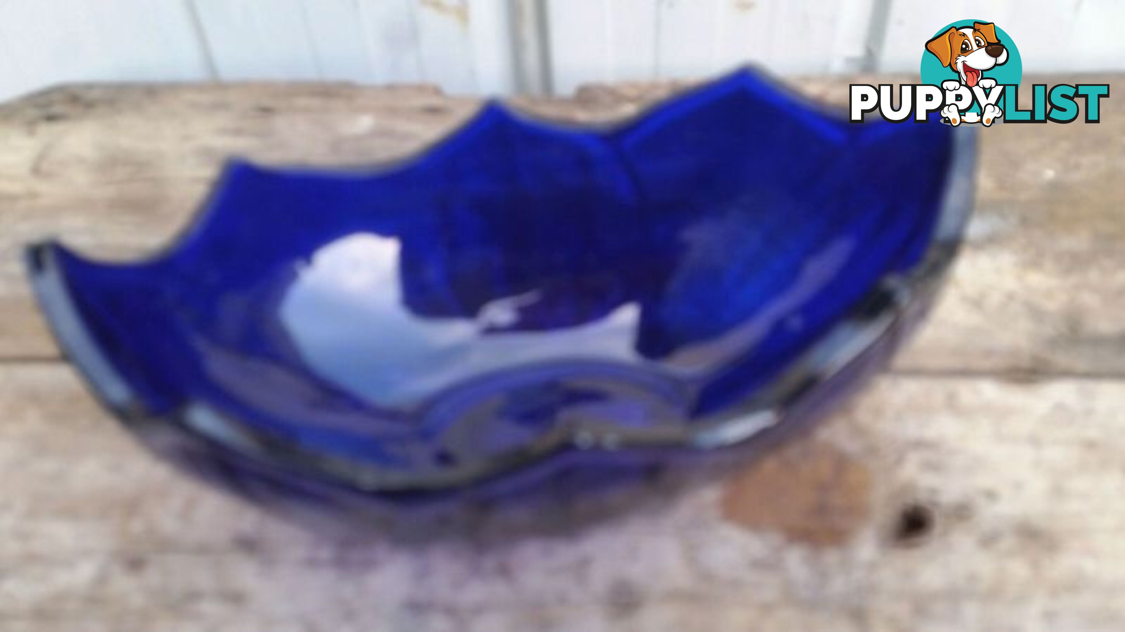 DARK BLUE BOWL