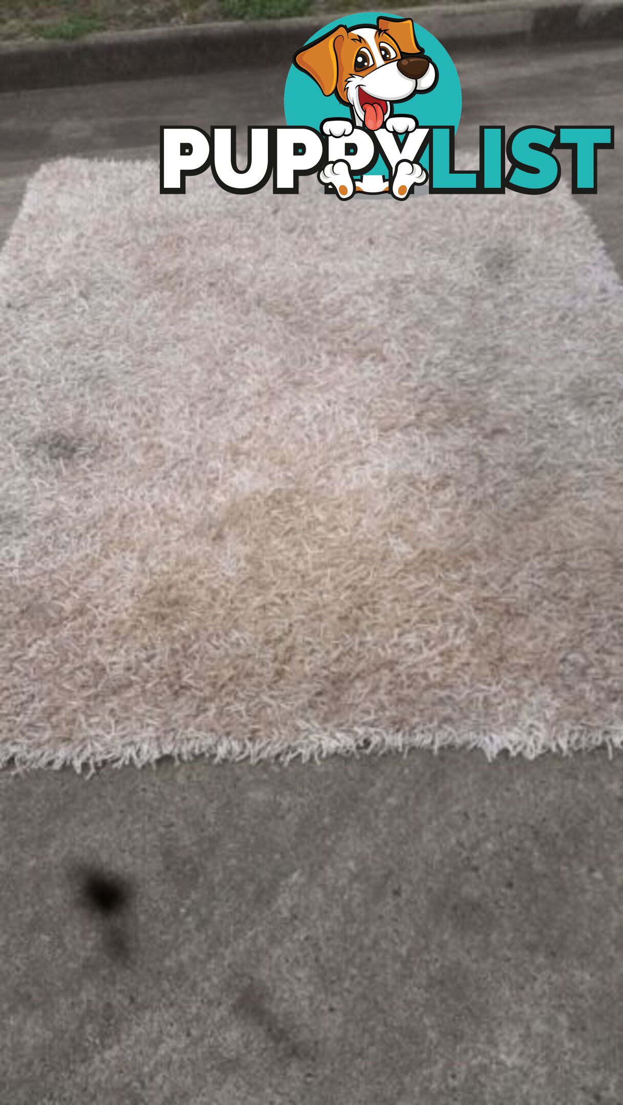 LARGE BEIGE SHAG RUG