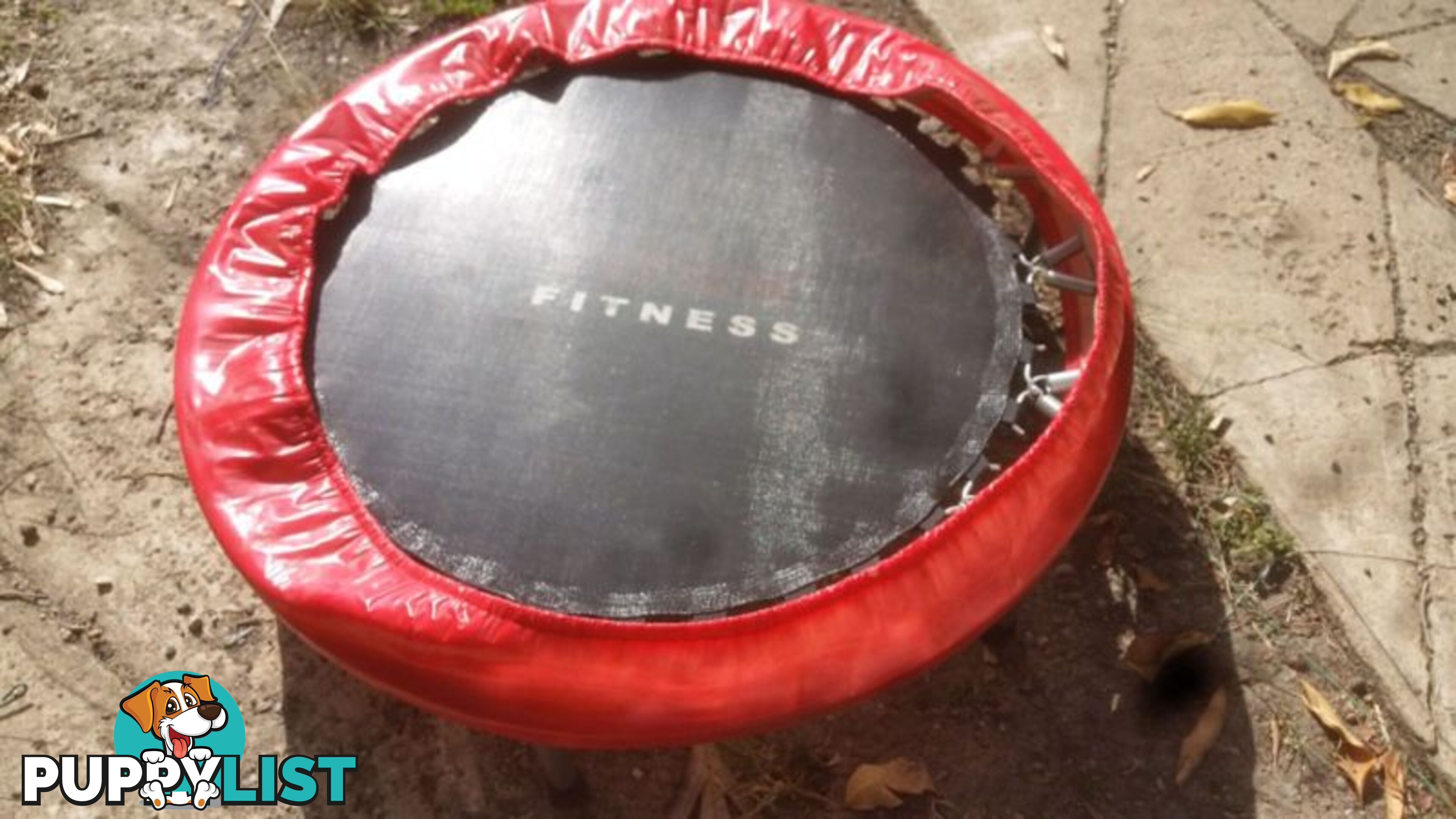 TRAMPOLINE MINI 1000 DIAMETER