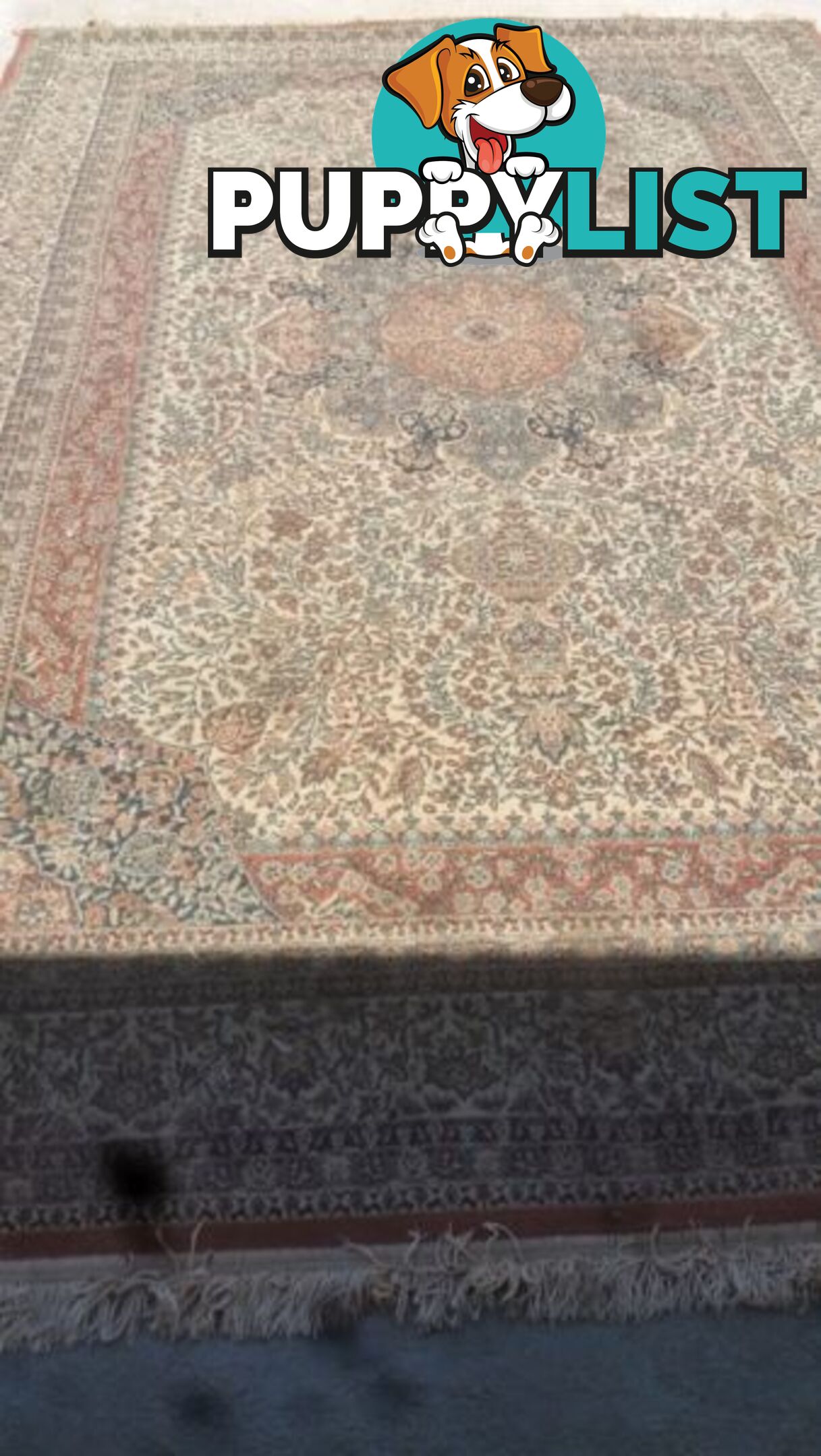 PERSIAN RUG TURKEY 2000 X 3000