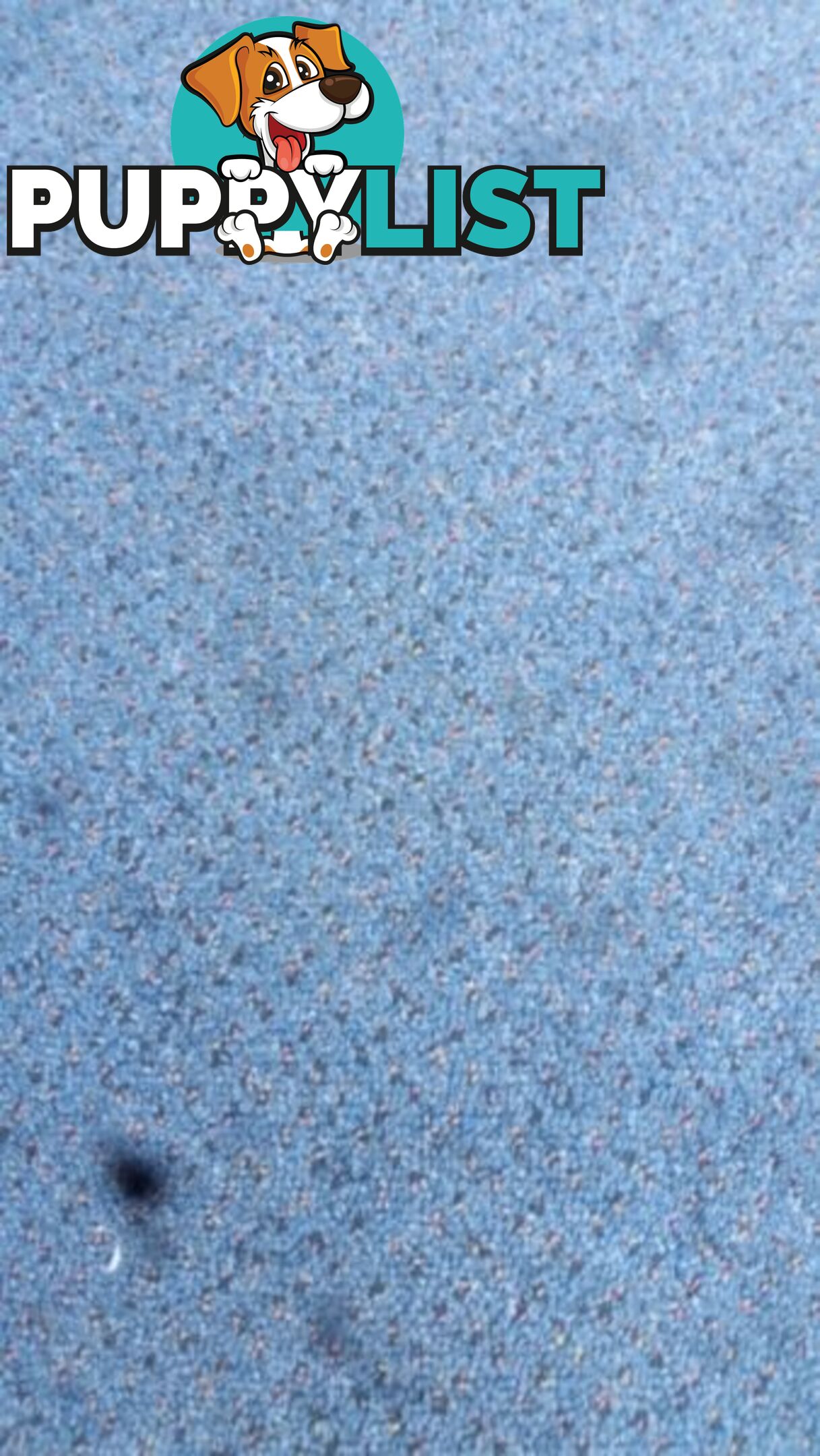 LARGE BLUE FLECK RUG NEW