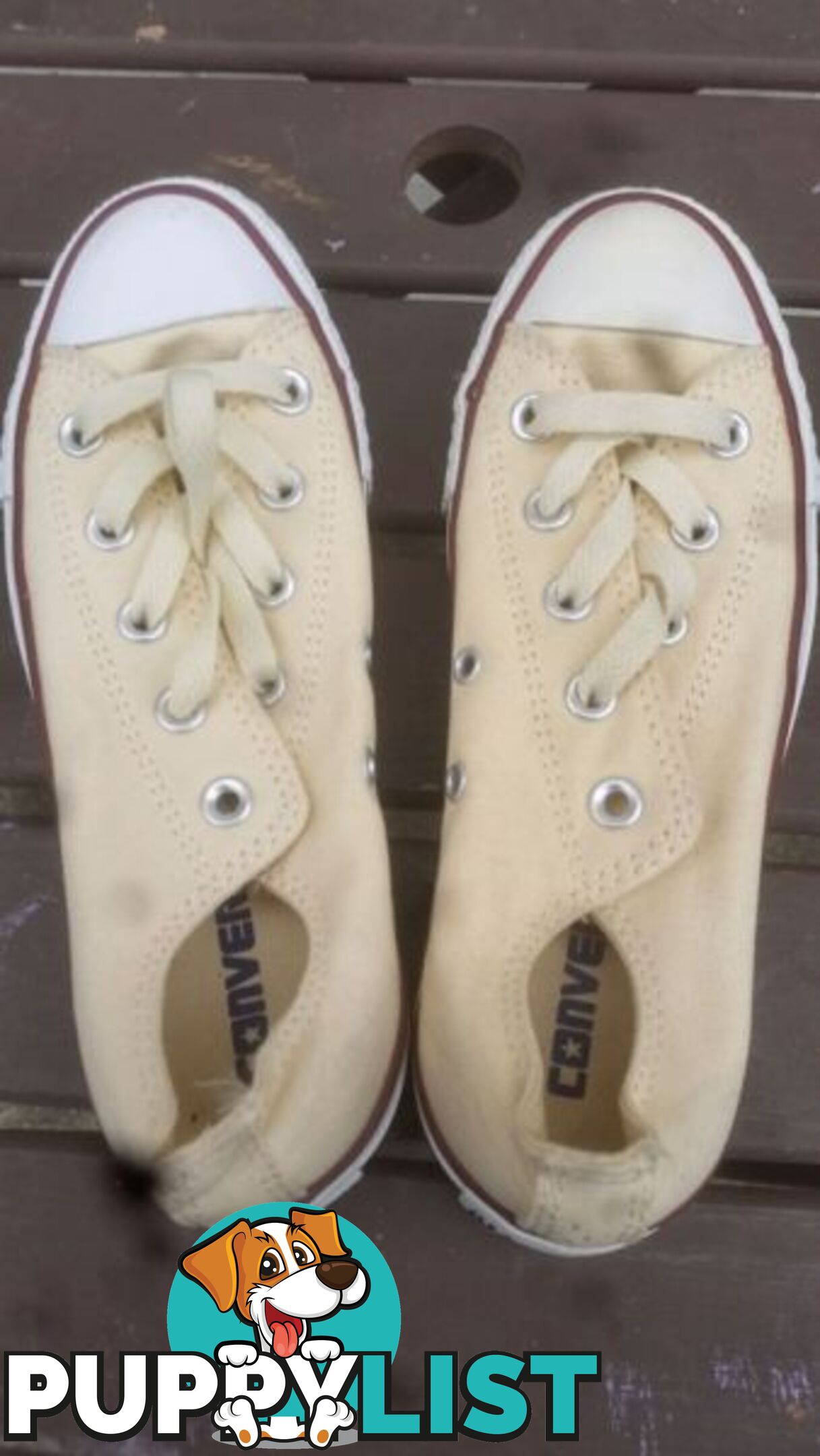 CONVERSE ALL STAR SIZE 5 NEW