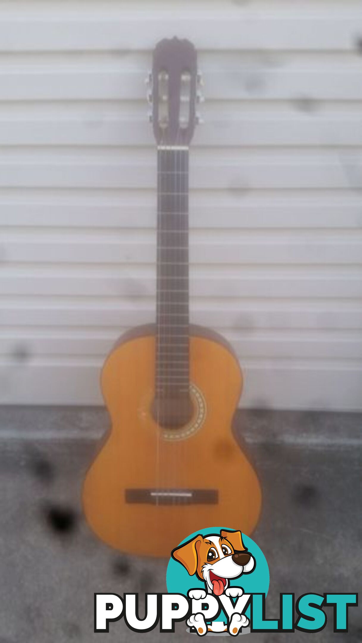 GUITAR ODESSA MODEL C 6 M