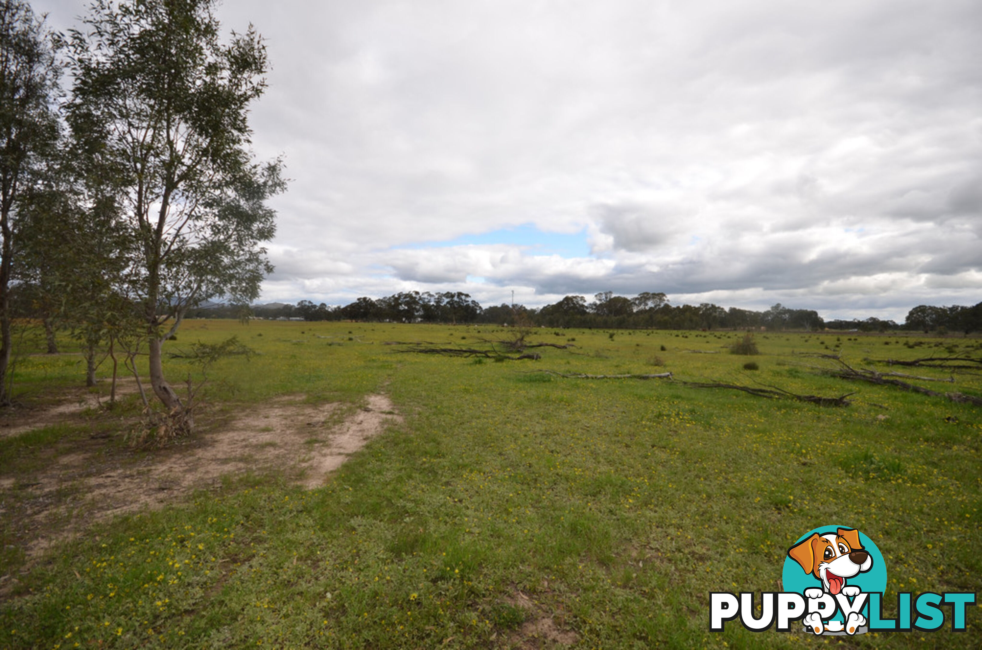 CA 260 Ararat - St Arnaud Road NAVARRE VIC 3384