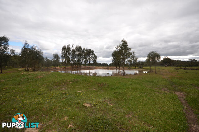 CA 260 Ararat - St Arnaud Road NAVARRE VIC 3384