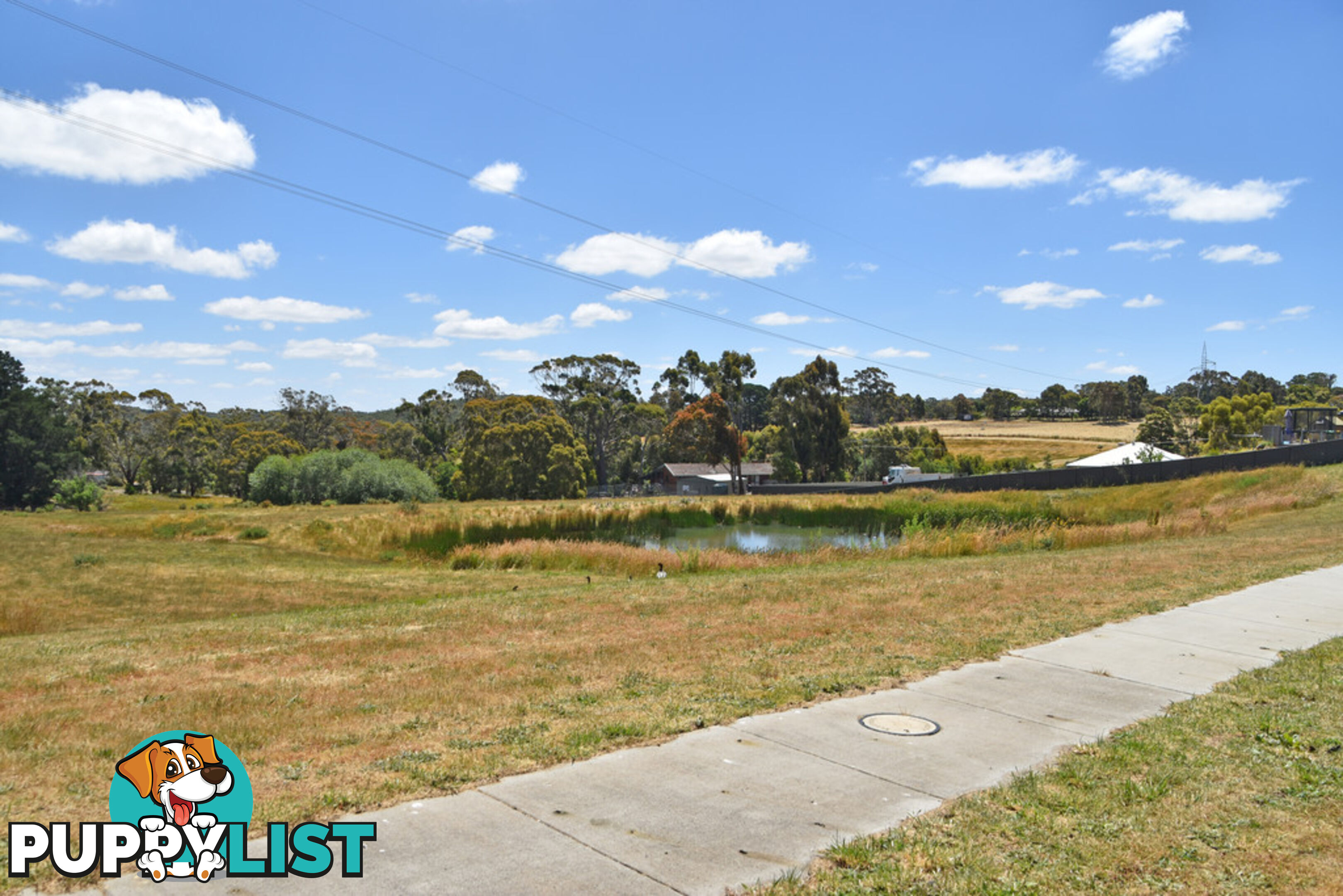 8 Willowbank Way BROWN HILL VIC 3350