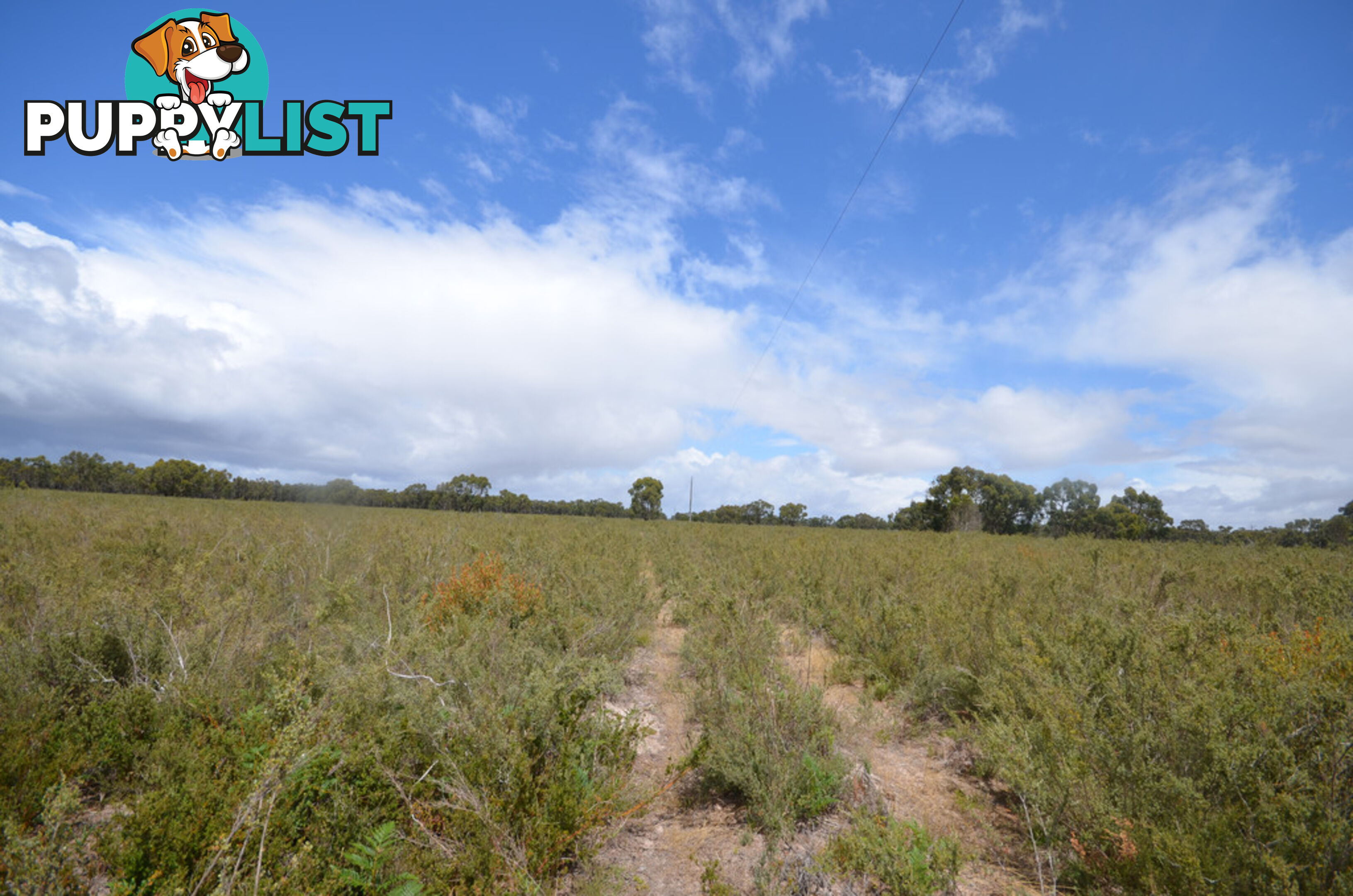 Lot 40 Scrubby Lake Road EDENHOPE VIC 3318