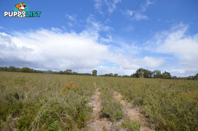 Lot 40 Scrubby Lake Road EDENHOPE VIC 3318