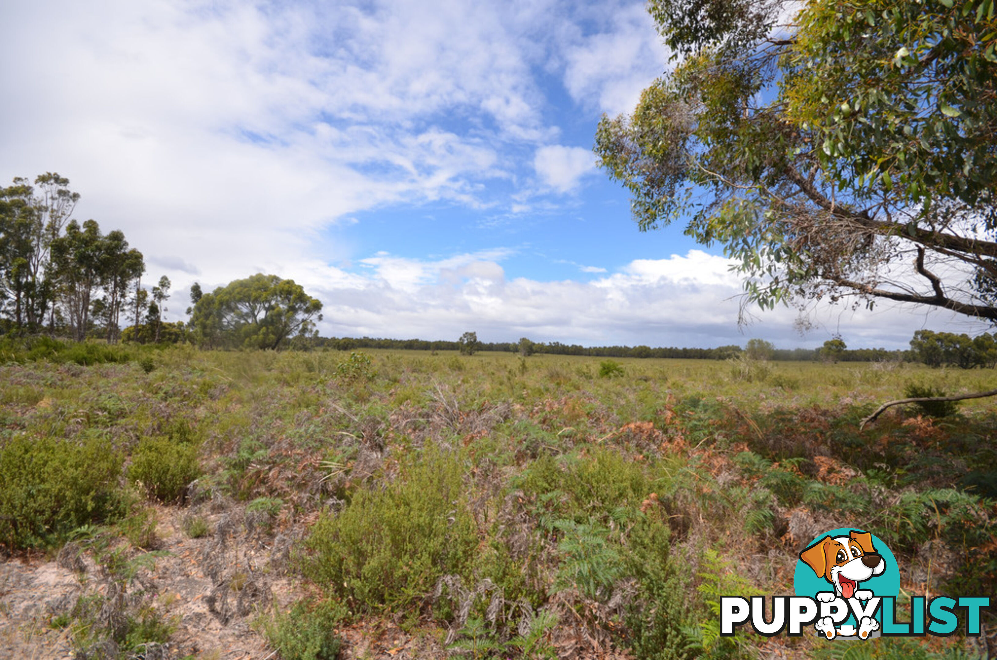 Lot 40 Scrubby Lake Road EDENHOPE VIC 3318