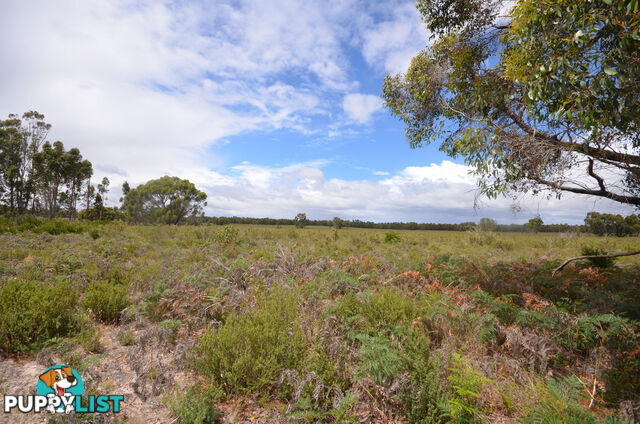 Lot 40 Scrubby Lake Road EDENHOPE VIC 3318