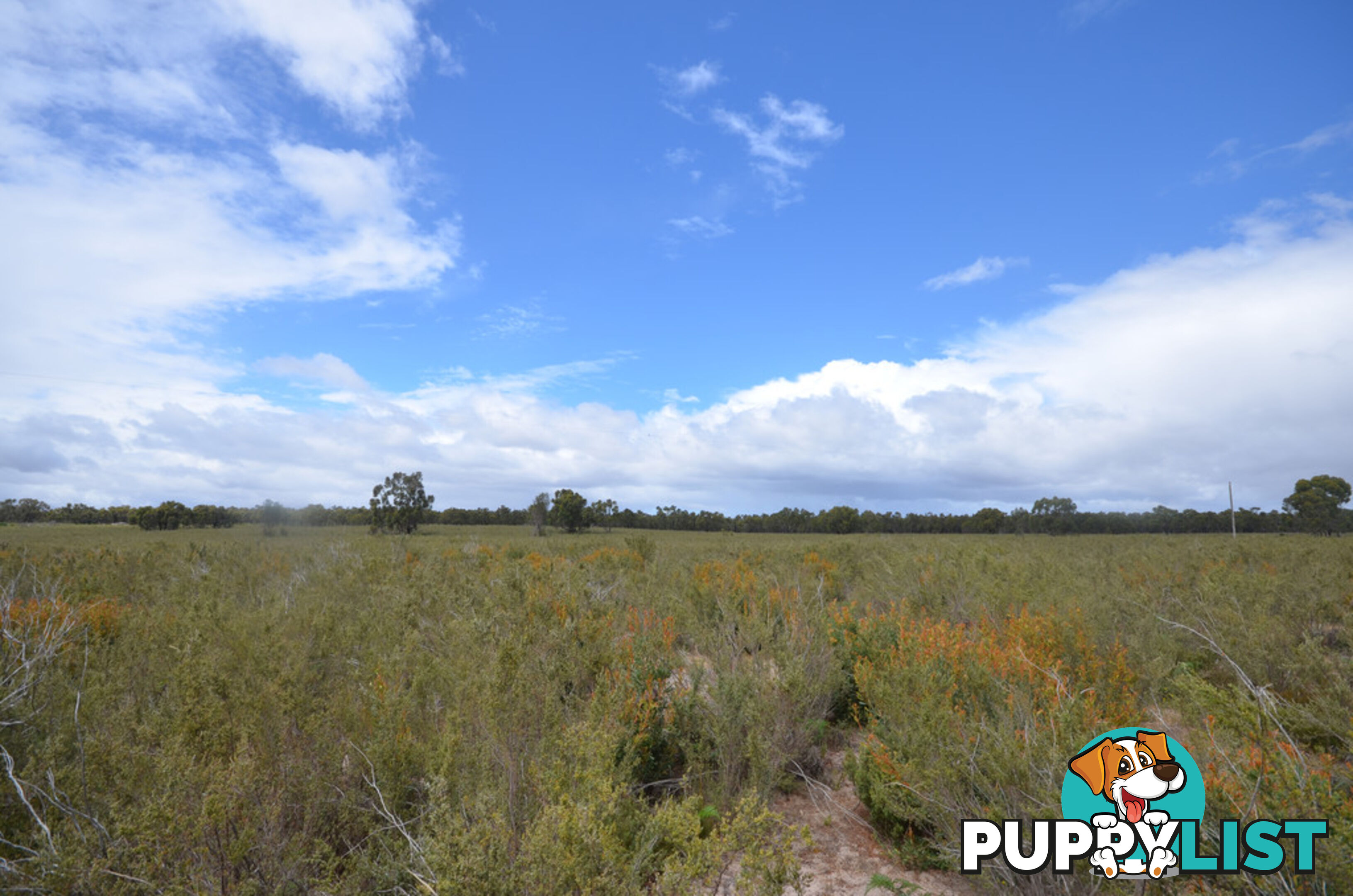 Lot 40 Scrubby Lake Road EDENHOPE VIC 3318